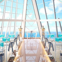 2025年【HIS】HISパッケージ/衣裳日本試着