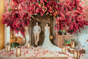 前撮りフォトプラン 人気のフォト会社2社からお好みにあわせてご案内