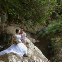 【ゴールドコースト】タンボリンマウンテン国立公園撮影フォトプラン