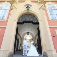 【チェコ ドブジシュ城】オプションにて組み合わせ自由!基本挙式プラン