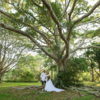 【ゴールドコースト】スプリングブルック国立公園撮影フォトプラン