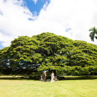 モアナルアガーデンウェディング★今ならオーシャンビュールーム宿泊4泊込