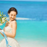 ドレス コレクション