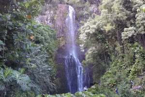 ハワイ王族の聖地「ハナ」で感じるスピリチュアルな空間