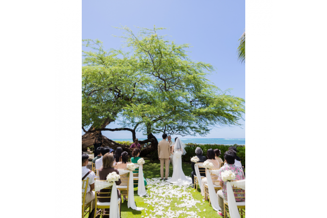 ハレクラニ カヴェヘヴェヘ