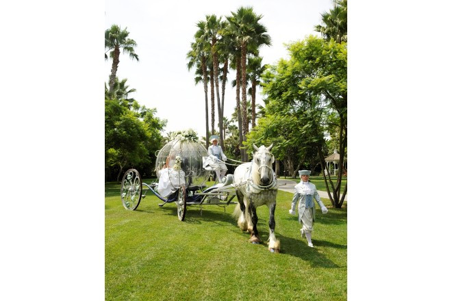 おとぎの国のような装束の御者、白馬、白亜の馬車がそろった夢のある演出。