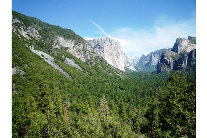 マイナスイオンに満ちた、癒やしの挙式が叶います。