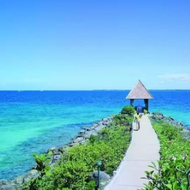 開放的なロケーションで叶えるカゼボウェディング