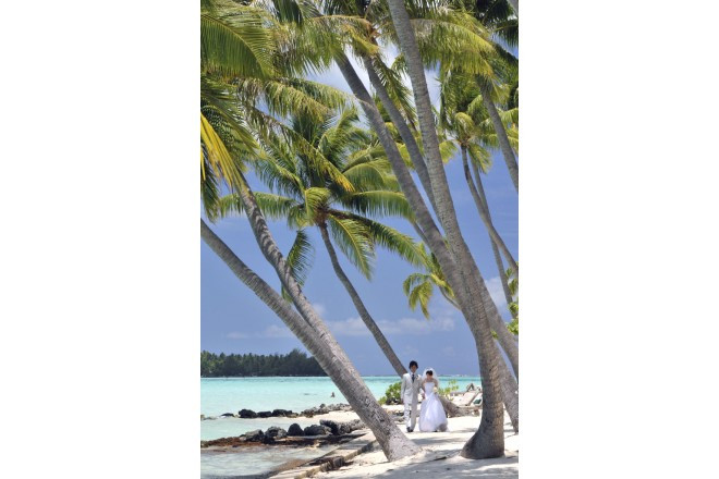 椰子並木、白砂のビーチ、楽園ムードに満ちたリゾートをドレス姿で歩いて。