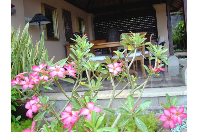 ホテル内のあちこちにリゾートらしい色鮮やかな花が咲き乱れています