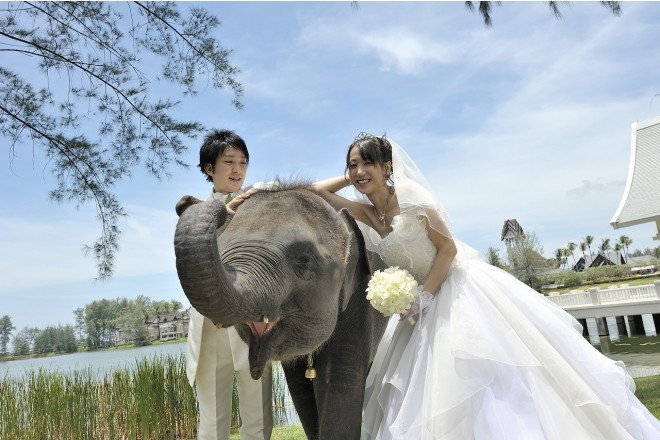 タイ挙式ならでは!思わず笑顔になるエレファントウエディングフォト。