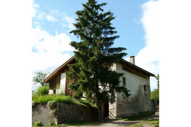 素朴な手作り感が満ち溢れているハイジの家