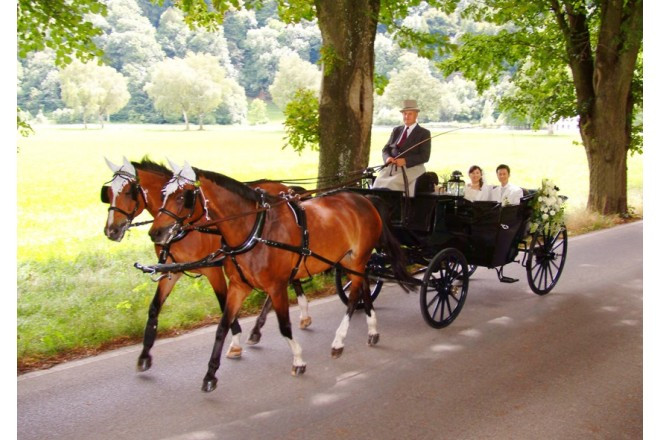 馬車に揺られ、スイスの美しい景色の中に溶け込んで行きます。