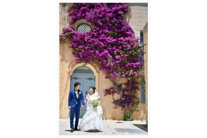 鮮やかなブーゲンビリアの花と共に