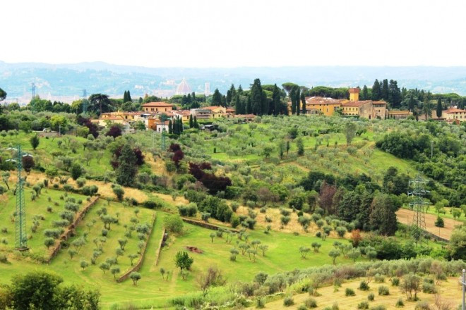 ヴィラ テラスからのイタリア郊外の眺め。挙式場周辺にはこのような風景が広がります。
