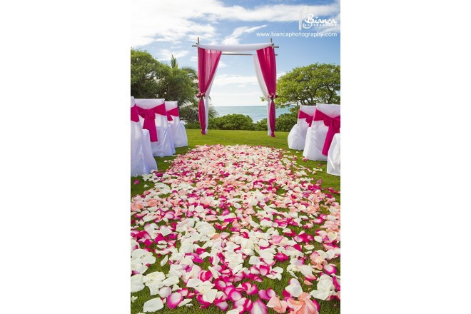 タートルベイ・ウエディングガーデン