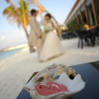 カンドゥーマ ビーチウェディング