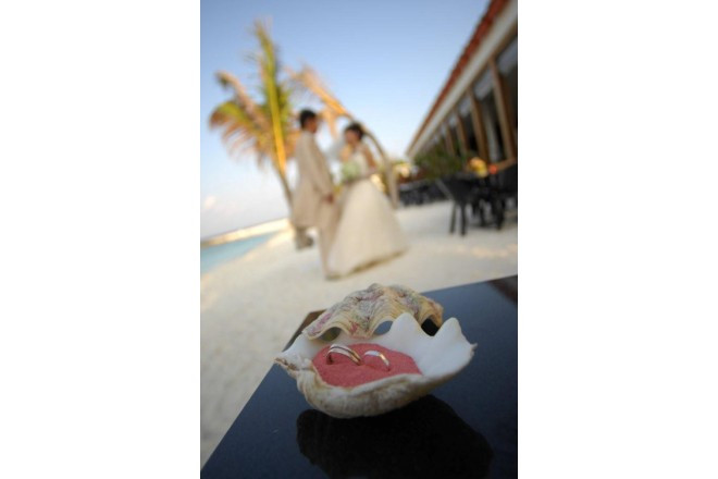 2人の大切なリングを収めた可愛らしい貝殻のリングピロー