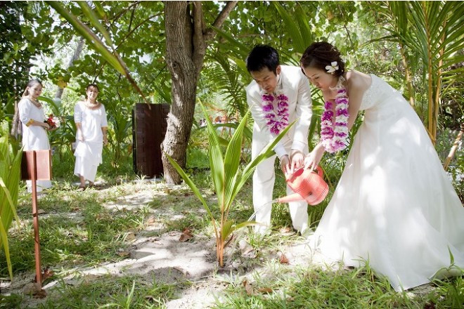 2人の想い出をモルディブに残そう。ココナッツパームの記念植樹セレモニー。