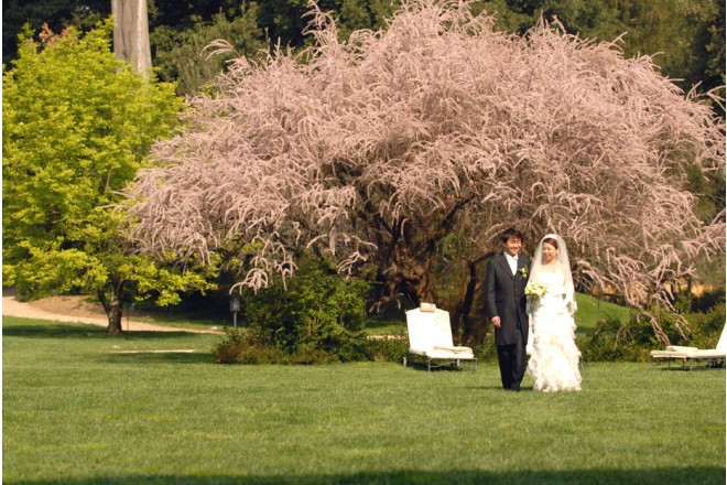 芸術の宝庫であるルネサンス時代の宮殿と修道院を改築したフォーシーズンズホテルは、フィレンツェの中心に数世紀前から残るプライベートガーデン内にあります。