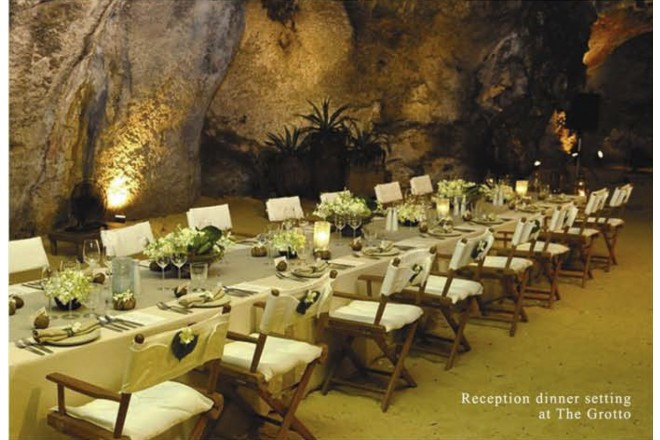 ドリームエージェント