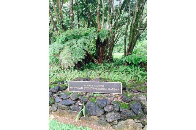 マノアラニ ガーデン ウェディング