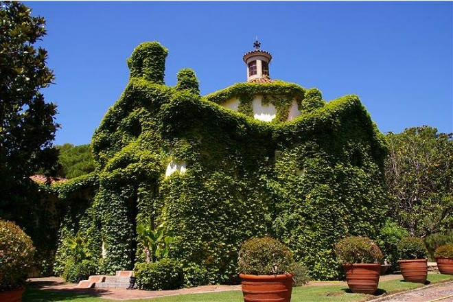 青々と茂る蔦に覆われた外観。