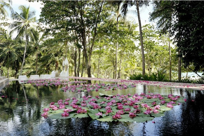 アマンプリ パビリオン