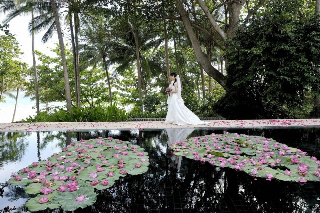 睡蓮の花咲く水辺を歩むシーンも実にフォトジェニック。