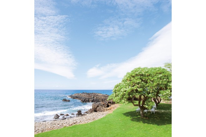 ダブルツリー・エステート