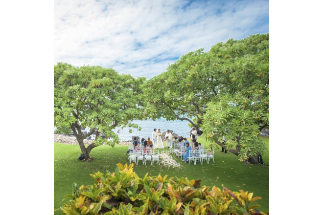 ダブルツリー・エステート