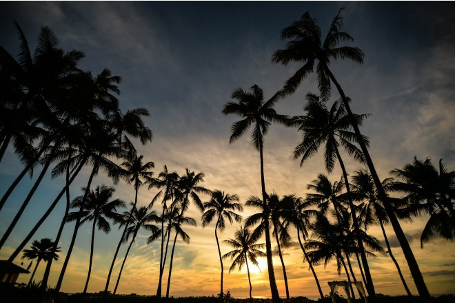 ラニクホヌア・ガーデン