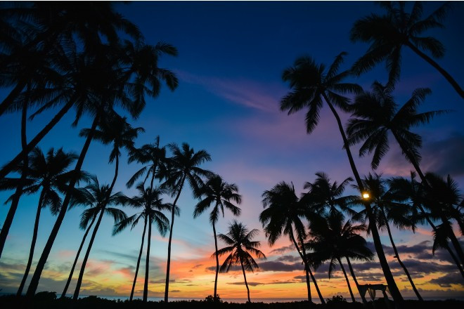 ラニクホヌア・ガーデン