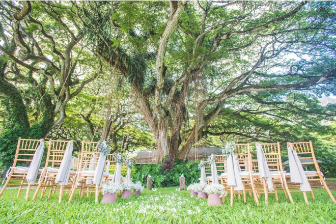 秘境のリラクゼーションスポットの象徴・モンキーポッドのもとで神秘的なナチュラルセレモニーが実現