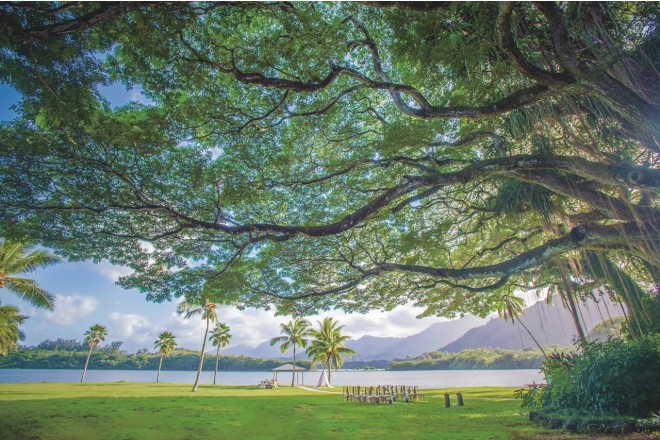 映画のロケ地としても有名な「ハレナネア」は、穏やかで美しい水辺が目の前に広がる神秘的なステージ