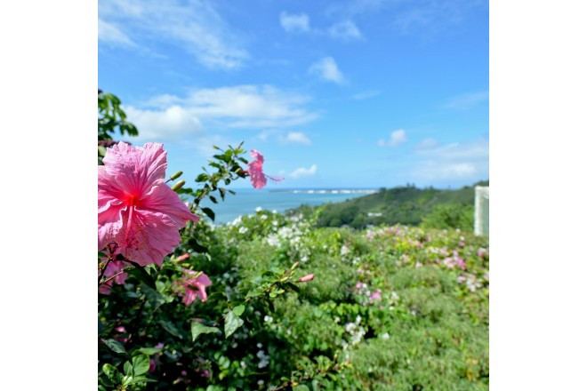 マウナサンドバーエステート