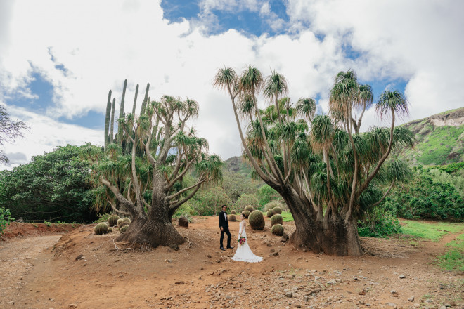 挙式後の撮影は、ボタニカルガーデンもオススメ