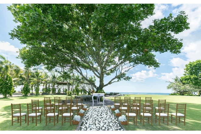 ブリーズガーデン ツリーウェディング