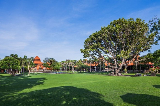 ブリーズガーデン ツリーウェディング