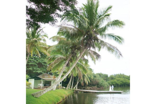 モリイガーデン・フェアリーウェディング(ウエディング取扱終了)