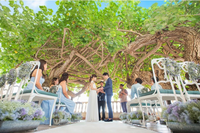 ハウツリーラナイ(ウエディング取扱終了)