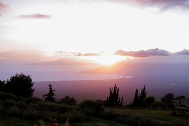 アリイクラ ラベンダーファーム