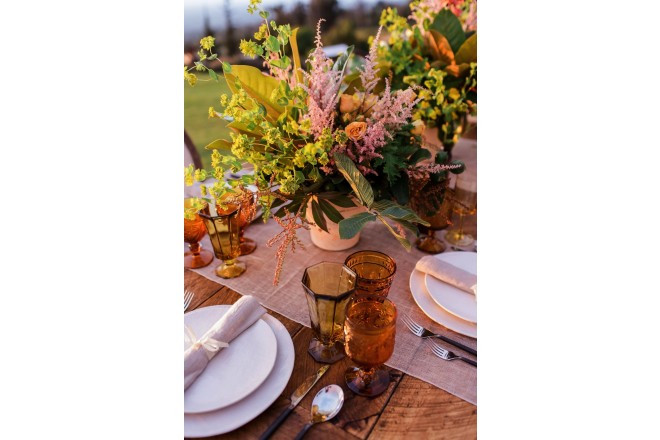 アリイクラ ラベンダーファーム