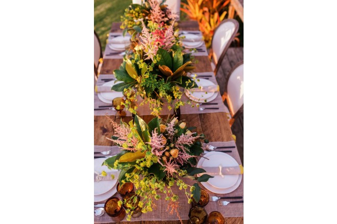 アリイクラ ラベンダーファーム