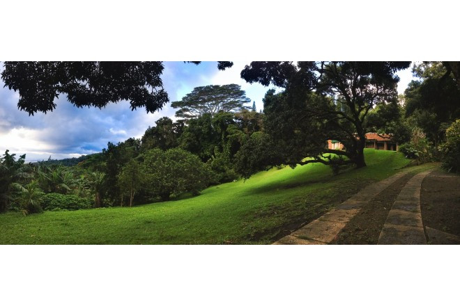 ナットリッジエステート