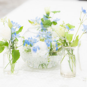 スタッフアイコン