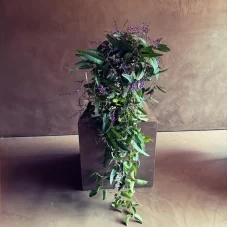 草花屋苔丸 赤地光太郎の思い出のストーリー