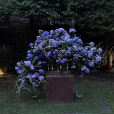 草花屋苔丸 赤地光太郎の思い出のストーリー