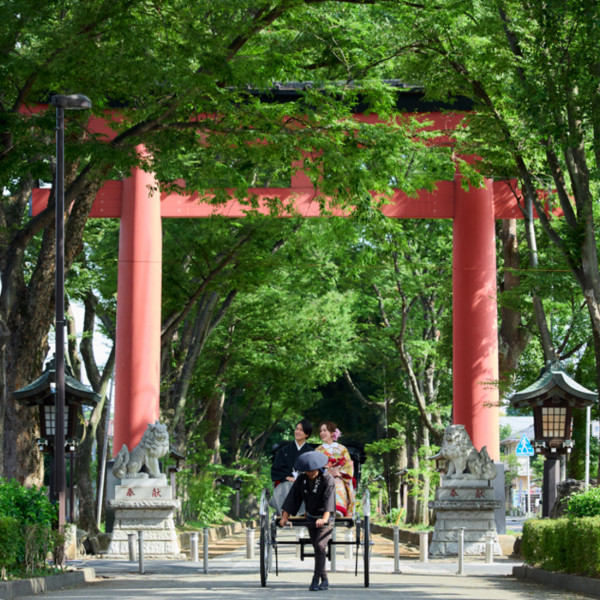 自然溢れる氷川参道と朱色の大鳥居のコントラストは抜群！