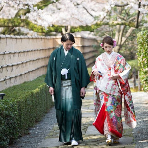 春には桜満開の挙式前に少しのお時間に前撮り|龍城神社の写真(923070)